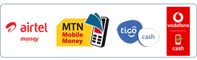 Mobile Money Logo